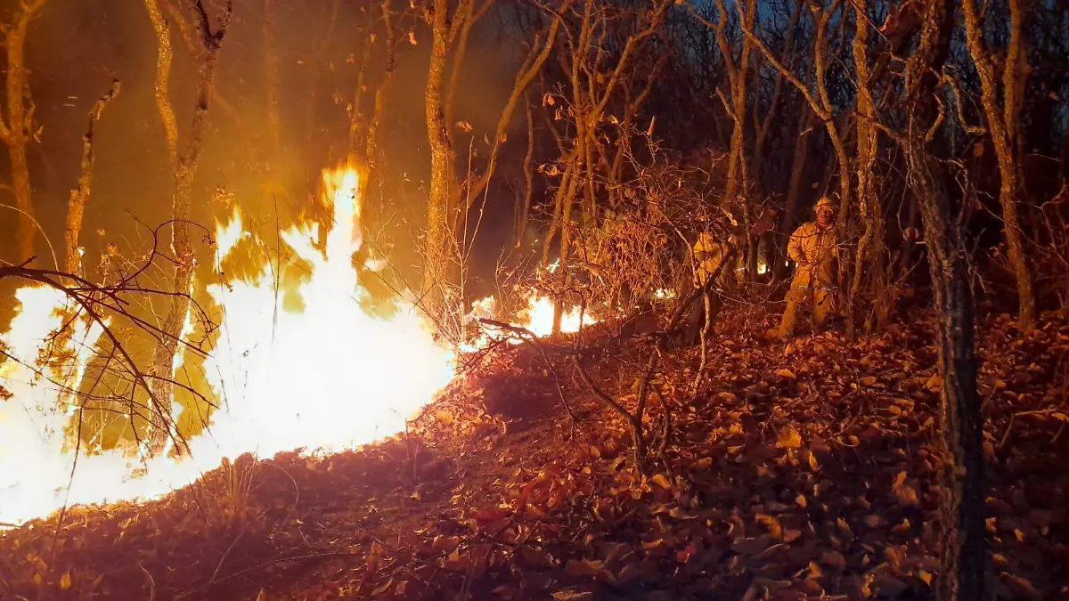 Sofocan incendio en el Cerro Viejo con El Palomo